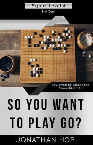 So You Want to Play Go?